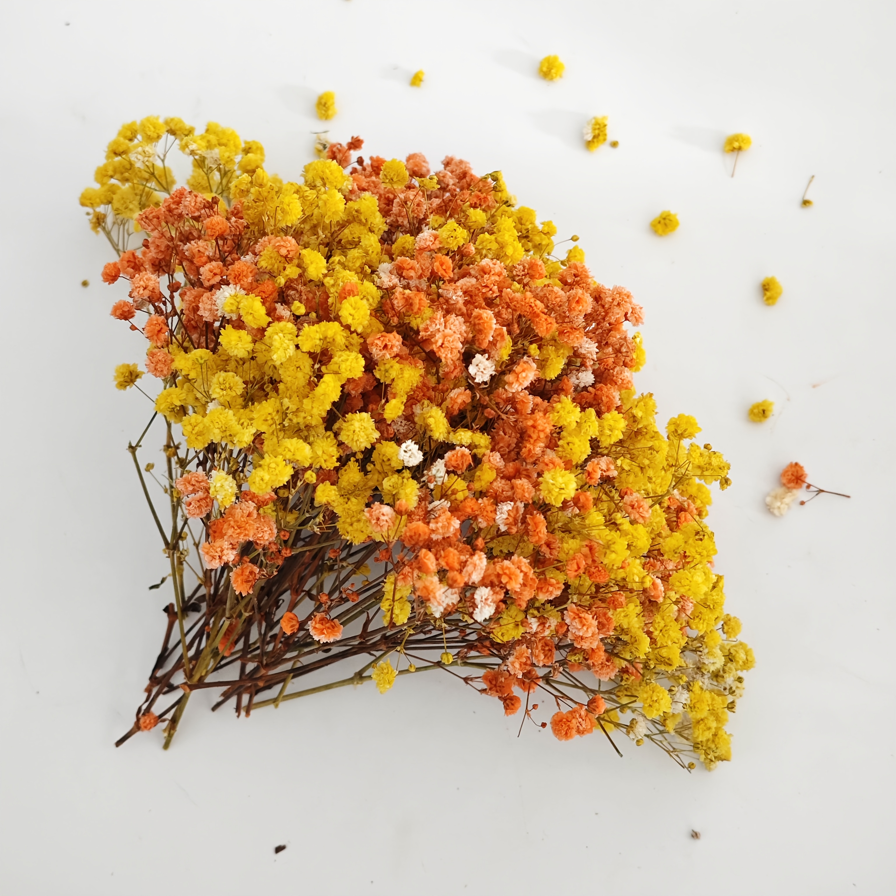 TEMU 50/100pz Mini Arancioni-Gialli Artificiali 'S Breath, Adatti per Stampi in Resina, e Artigianato a , Bouquet Colorati per Addizioni per Capelli,