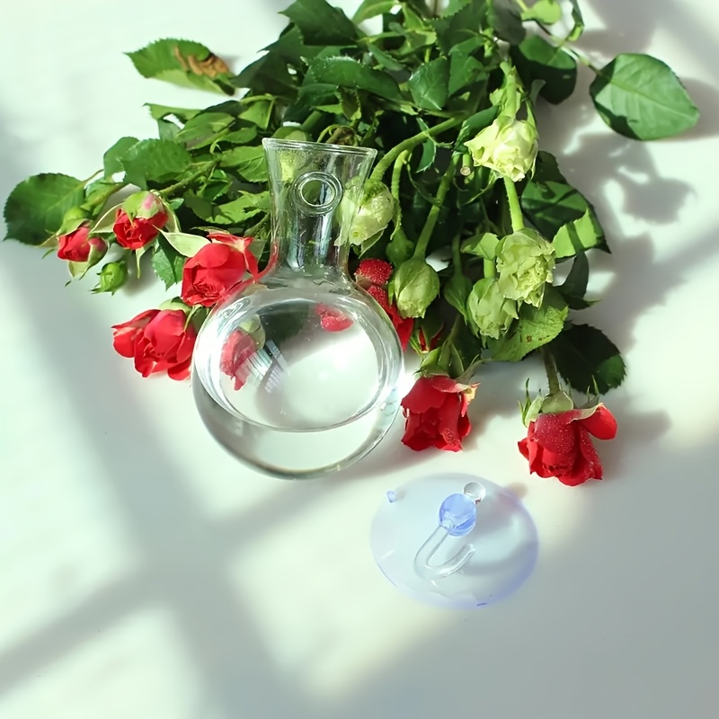 4 8pcs window plant propagation station with suction cup ball vase no nails glass plant hanging plastic   home decor   round shape pet material no electricity or battery needed plant decor vase home decoration vase   for living room