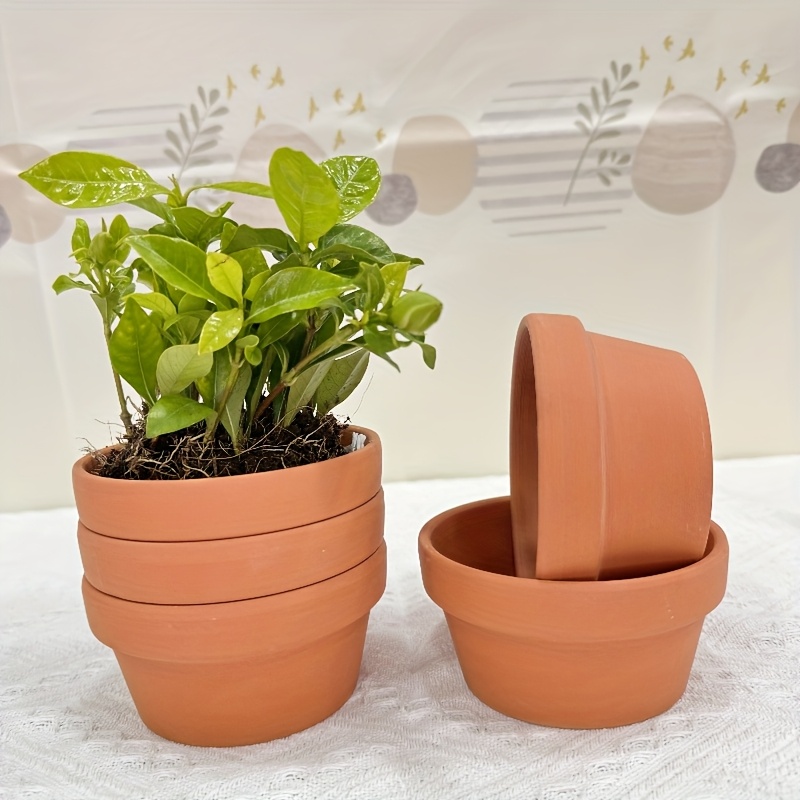 plastic succulent plants 3-Pack Joy Sedum Artificial Succulents In Ceramic Pots 6
