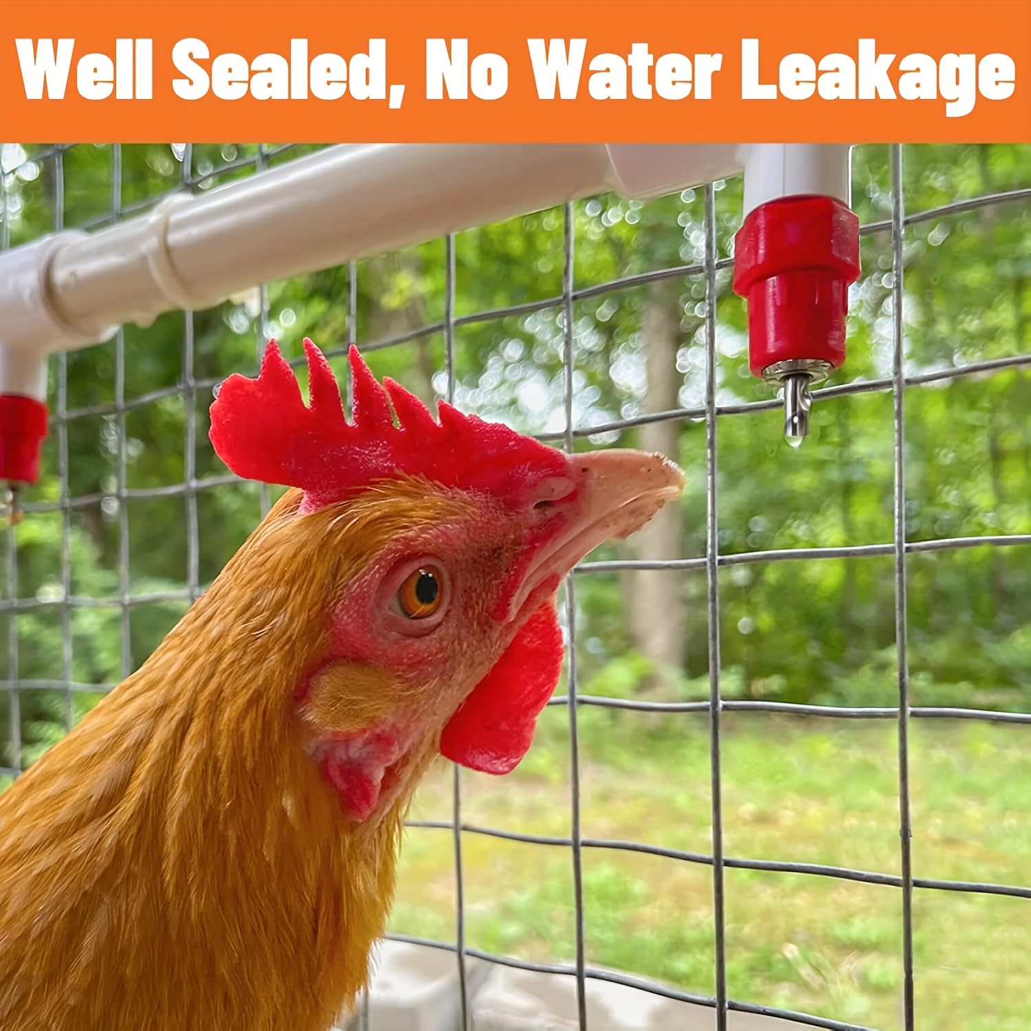 chicken waterer nipple tee waterer kit for poultry automatic poulrty drinking for chicken quail duck geese turkeys 10 pack