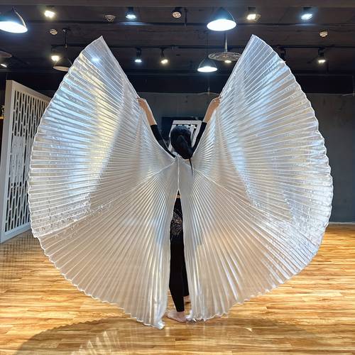 1 set womens professional belly dance costume angle wings with flexible rod
