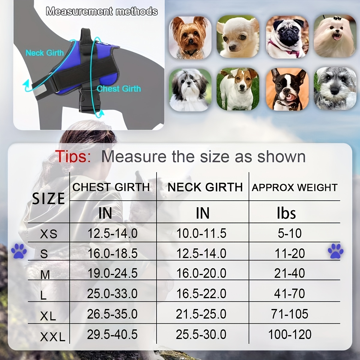 4pcs Pet Harness Set with Leash and Bowl