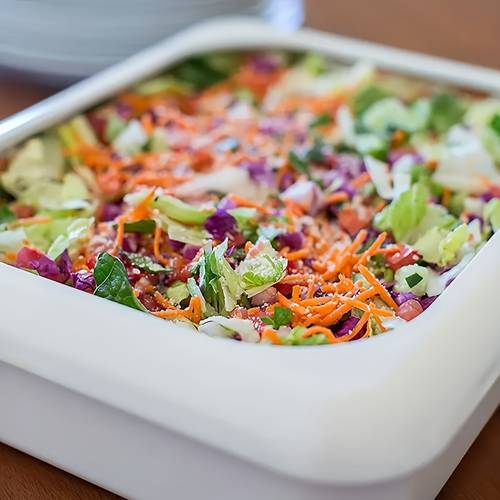 red plastic food storage tray with lid insulated portable durable ideal for picnics and home kitchen use picnic essential durable plastic plate safe lid closure picnic essentials stylish red durable plastic