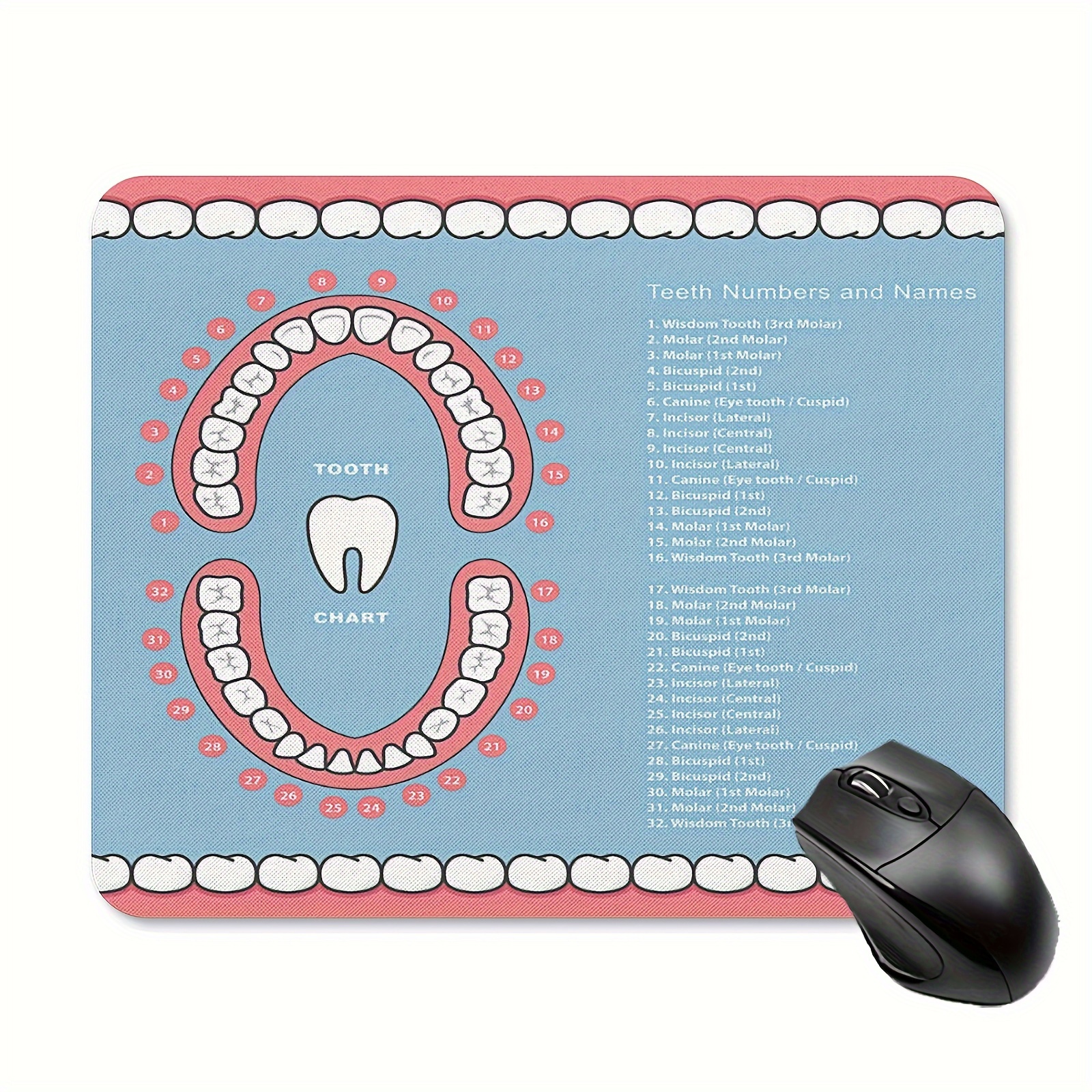 

Educational Dental Tooth Chart Mouse Pad - Non-slip Rubber Base, Thickened Computer Mouse Mat With Human Anatomy Design, 9.45 X 7.9 Inches, Office Desk Accessory, Gift