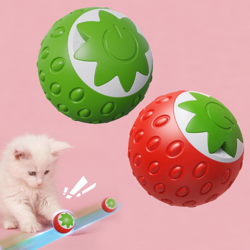 Cat Toy Ball, Interactive Cat Toys for Bored Indoor Cats, Magic Rolling  Jumping Teaser Ball, for Indoor Playing Hunting Instinct for Your Ki