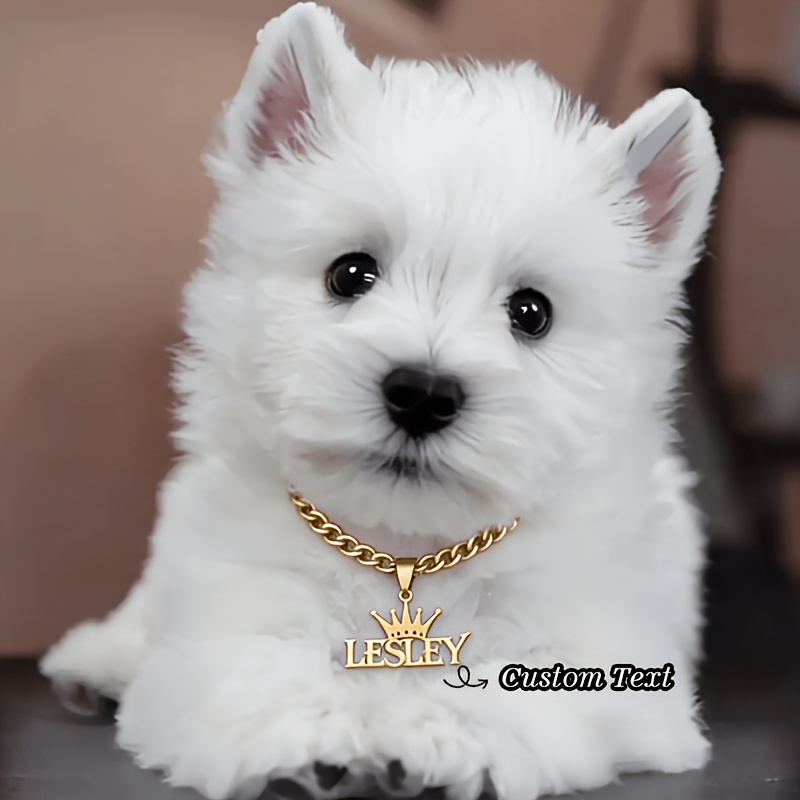 TEMU Custom Latin American/ Stainless Steel Name Pet Dog Pendant Necklace, Personalized Custom Dog Name Cuban Link Chain Necklace, Vintage Cuban Link