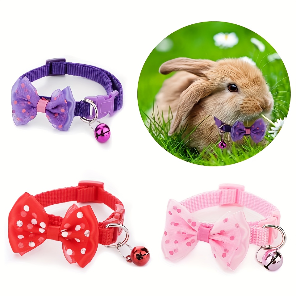 B1d15e12 8bf6 42a5 A946 E32af7a6108a