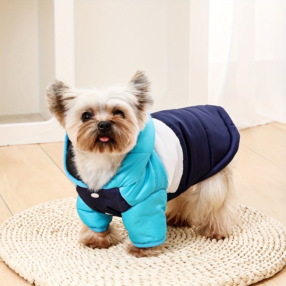 Animal Manteau Chiot Chihuahua 1pc De Manteau Pour Animaux De