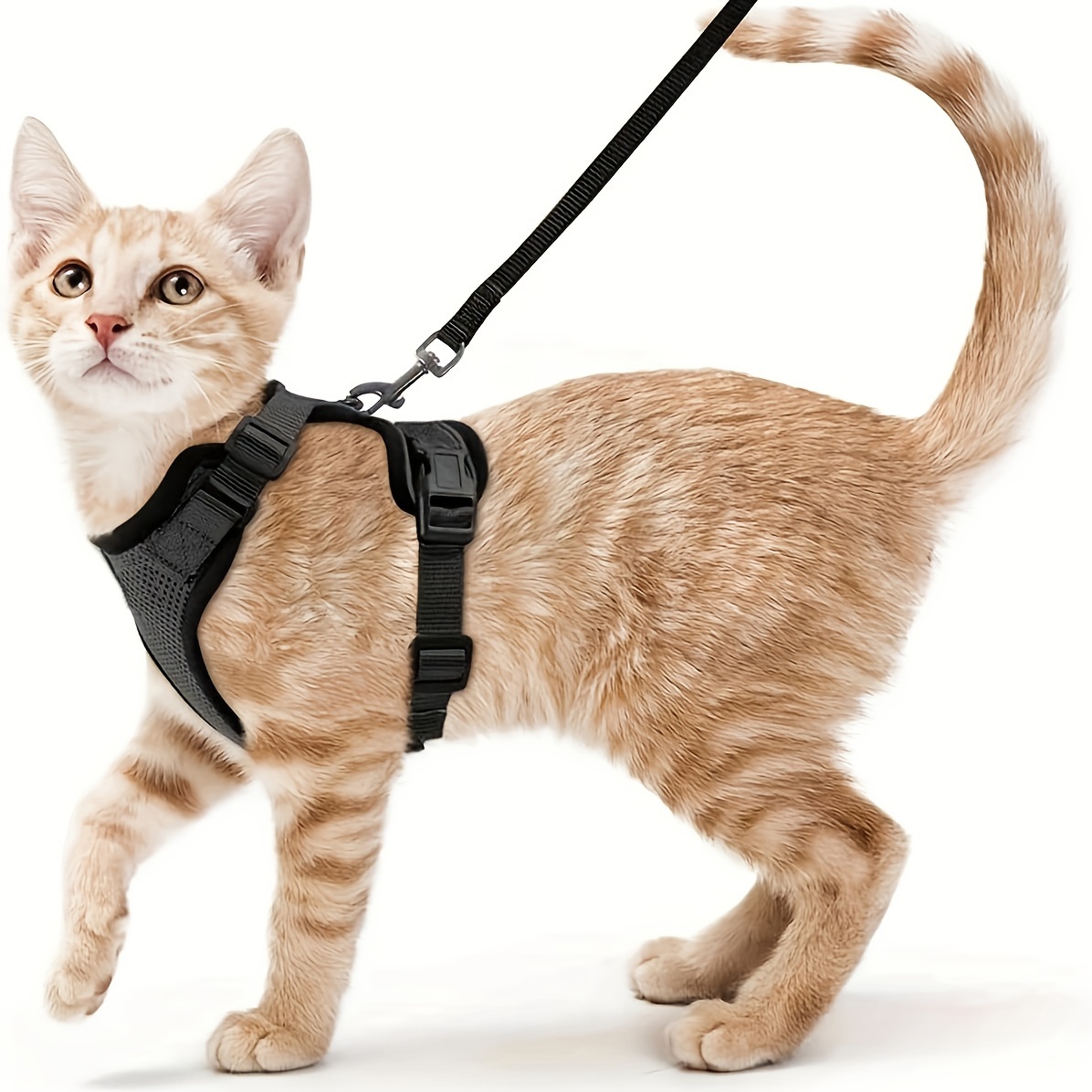 

1pc Cat Harness And Leash Set, Adjustable Escape Proof Vest For Small Pets Kittens Reflective Easy Control