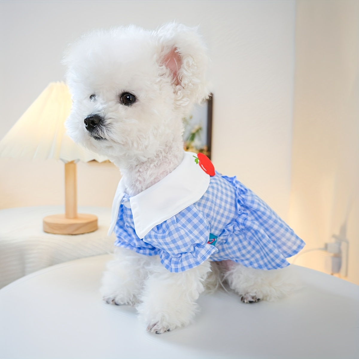 vestido mascotas cuadros blancos bordado oso Temu Spain