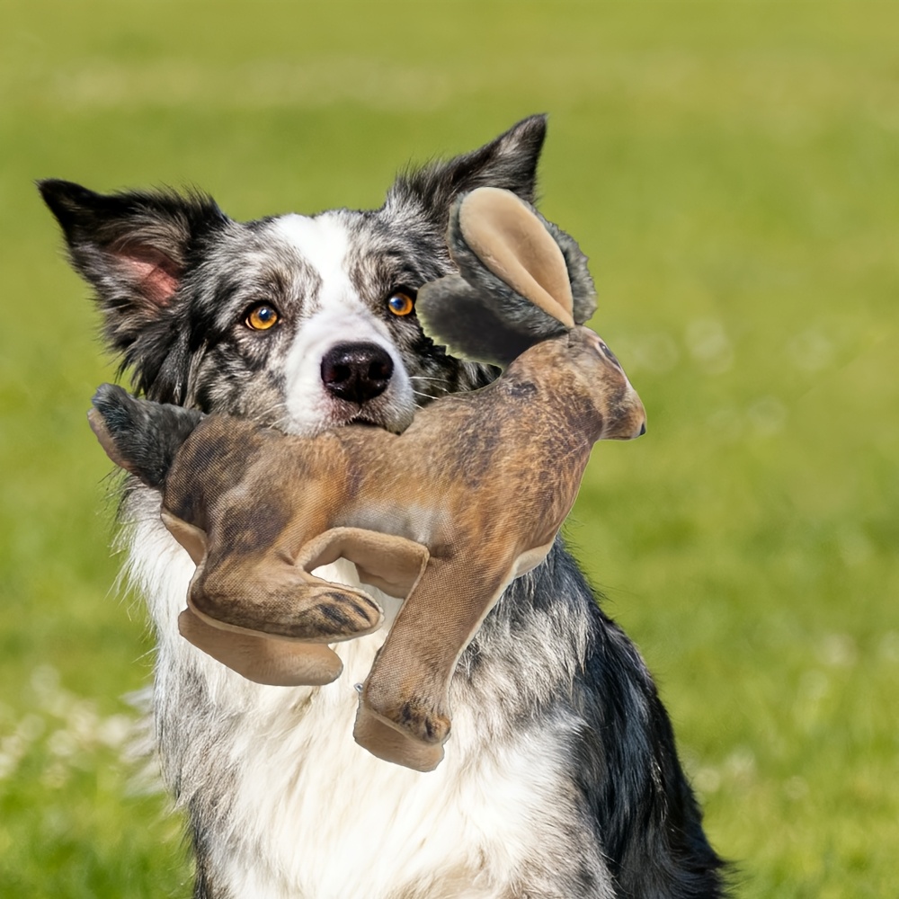 Soft Squeaky Toy for Puppies, Realistic Rabbit
