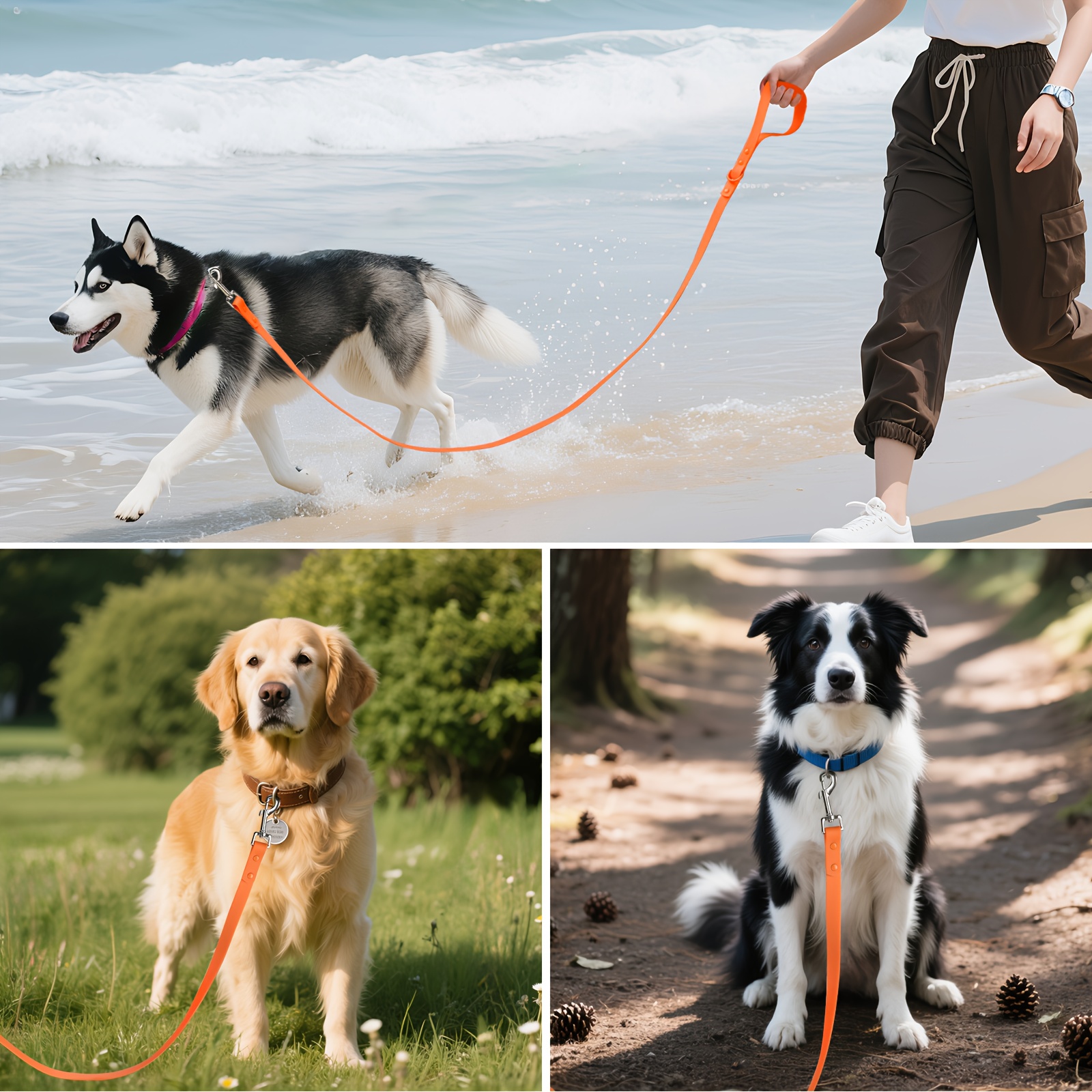 Odor-Resistant PVC Traction Rope for Dog Training