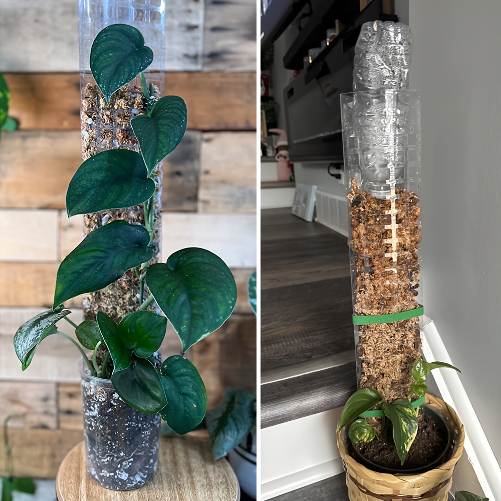 thick moss pole sold on Temu United States