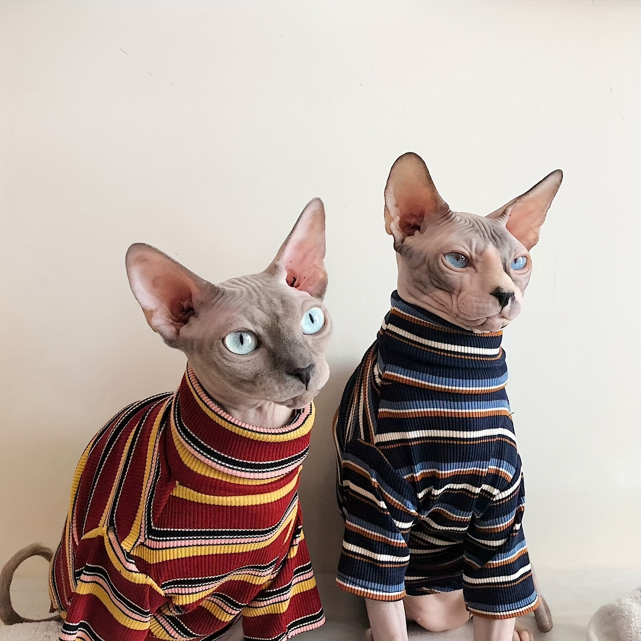 Spring and Summer Sphinx Hairless * Blue Striped Short Sleeve Retro Couple Pet Clothes Cute