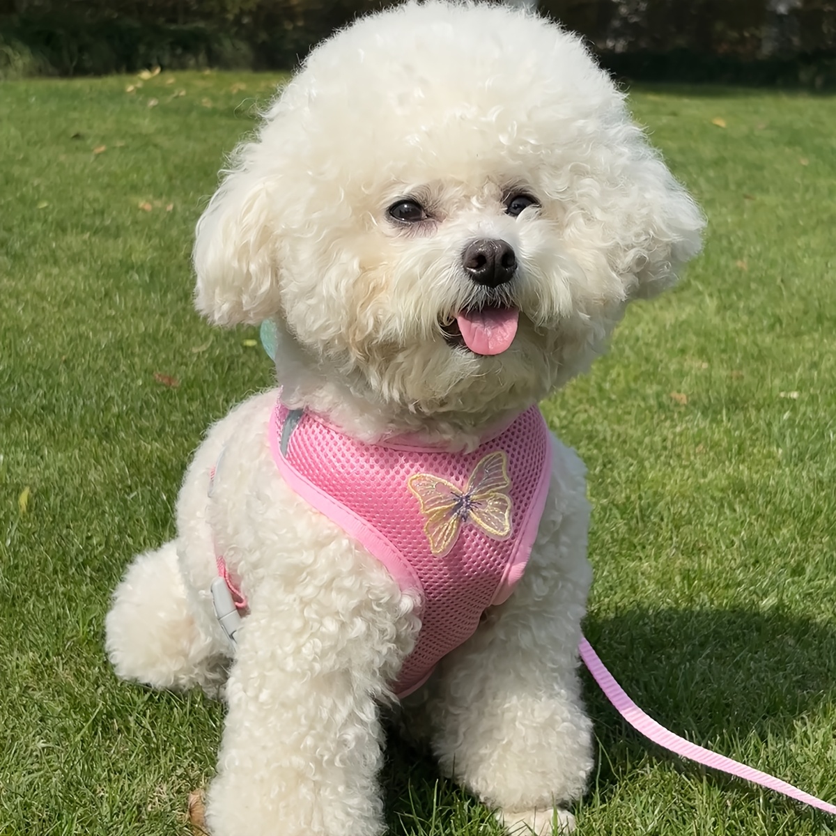 TEMU Stylish Bow Dog Harness And Leash Set, Breathable Mesh Fabric Cat And Dog Harness, Adjustable Design Pet Harness, Durable , Cat And Dog Leash,