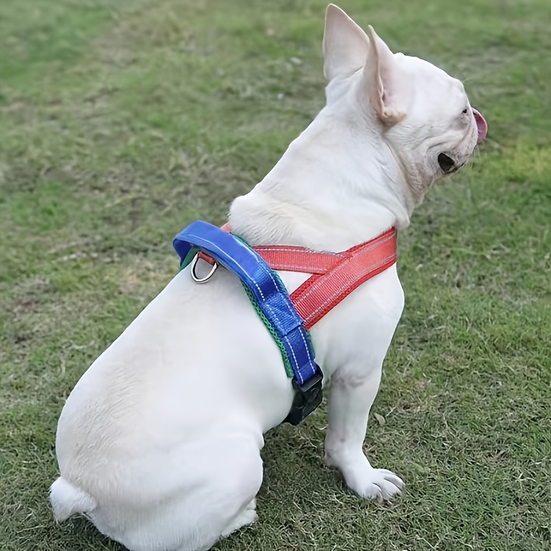 Adjustable Anti-Pull Dog Leash with Saddle-Style Chest Harness