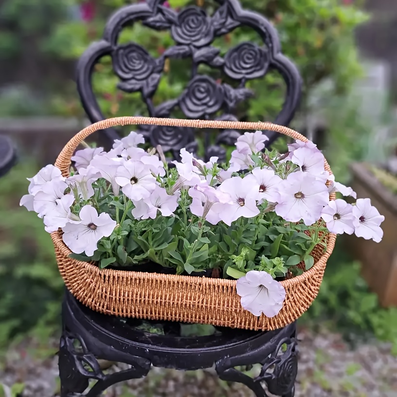 Durable Plastic Storage Basket - Decor Gift Basket & Outdoor Planter, Design For Garden, Party & Living Room Organization
