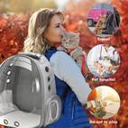 pet backpack with transparent front chest harness heavy duty backpack carrier for rabbits harness system zipper closure ventilation ideal for travel hiking vet ideal for small pets secure buckles cushioned interior clear front panel comfortable stable for outdoor activities suitable for rabbits more