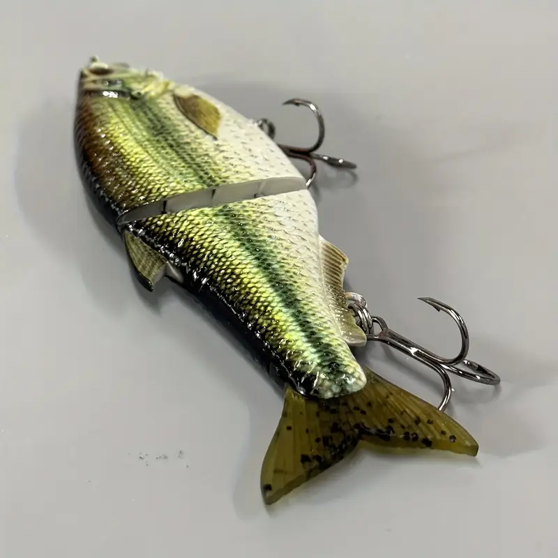realistic multi section fishing lure catfish - Temu Mauritius realistic multi section fishing lure catfish - Temu Mauritius