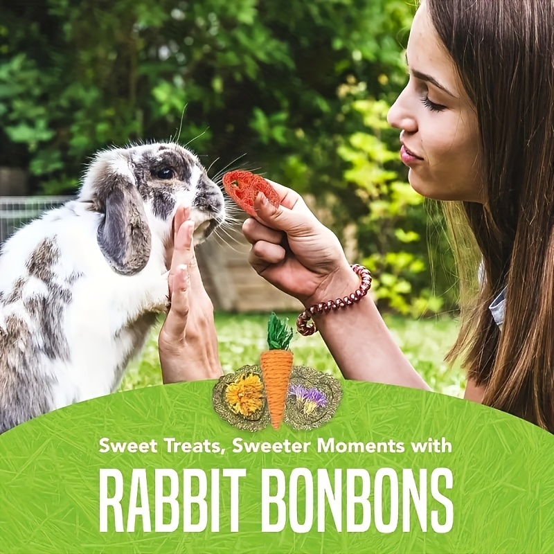 Non-Toxic Bite-Resistant Rabbit Chew Suitable for Guinea & Small Pets - Dental Cleaning Chewable Bone/Shaped Chewers, Wear-Resistant Rabbit Teeth Cleaners for Indoor Play, Safe Chewer for Rabbits, Guinea Pig Boredom - Image 3