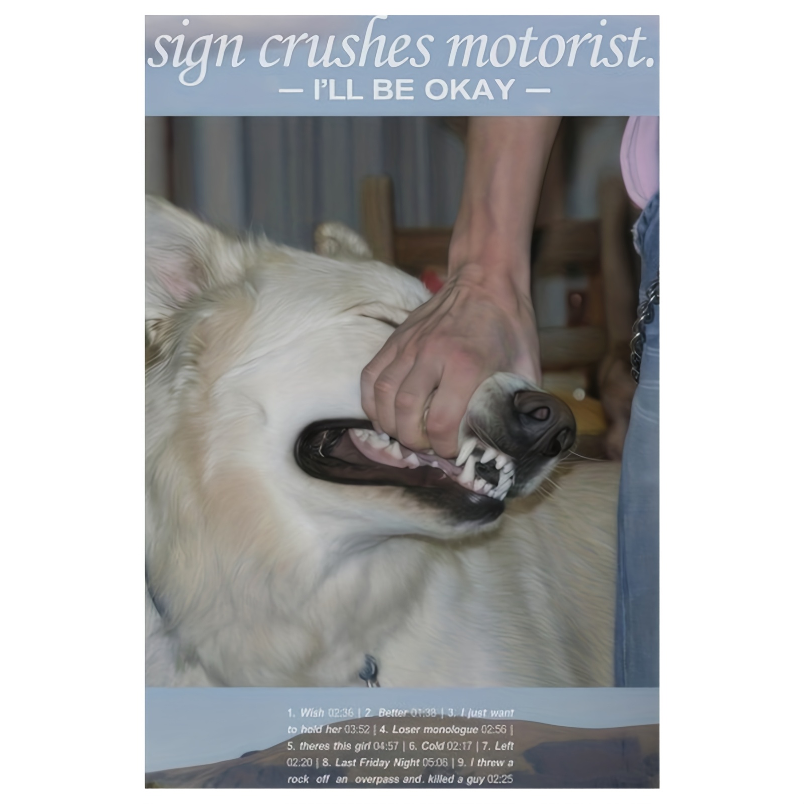 TEMU 1pc Frameless Canvas Poster - "sign Crushes Motorist, " Humorous Wall Art With , 12x18 Inch Indoor Decor For Bedroom, Living Room, Hallway -