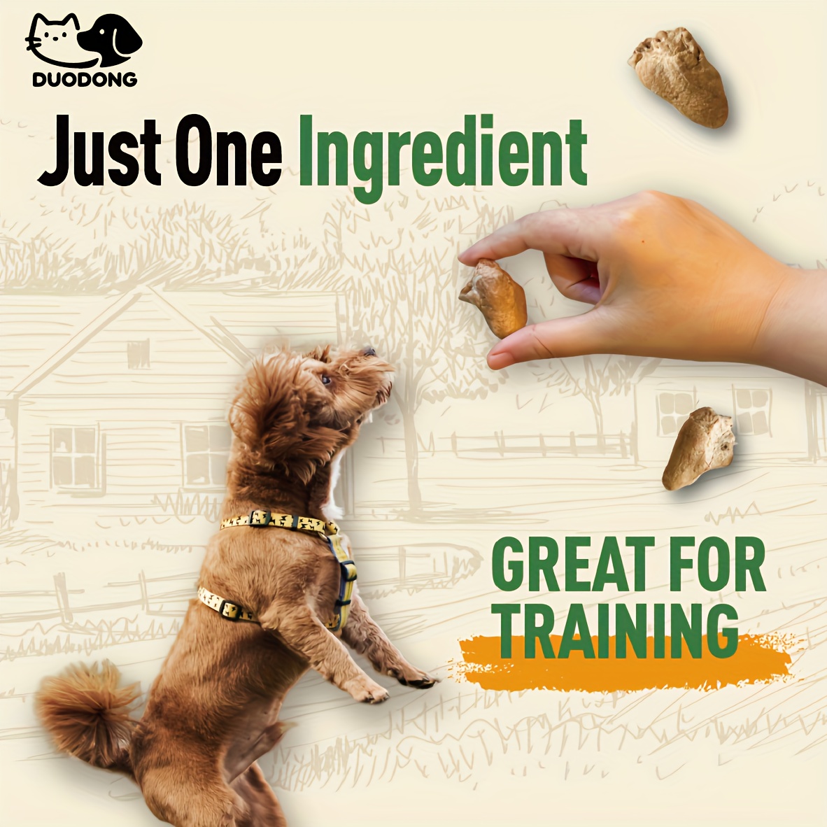 Dog receiving a chicken-heart treat during training