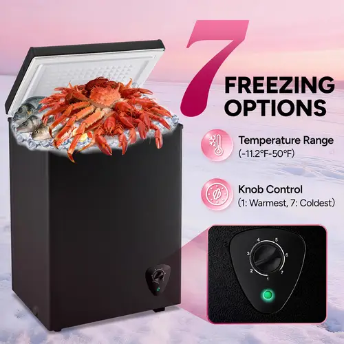 Fancy Freezer small freezers sold on Temu United States
