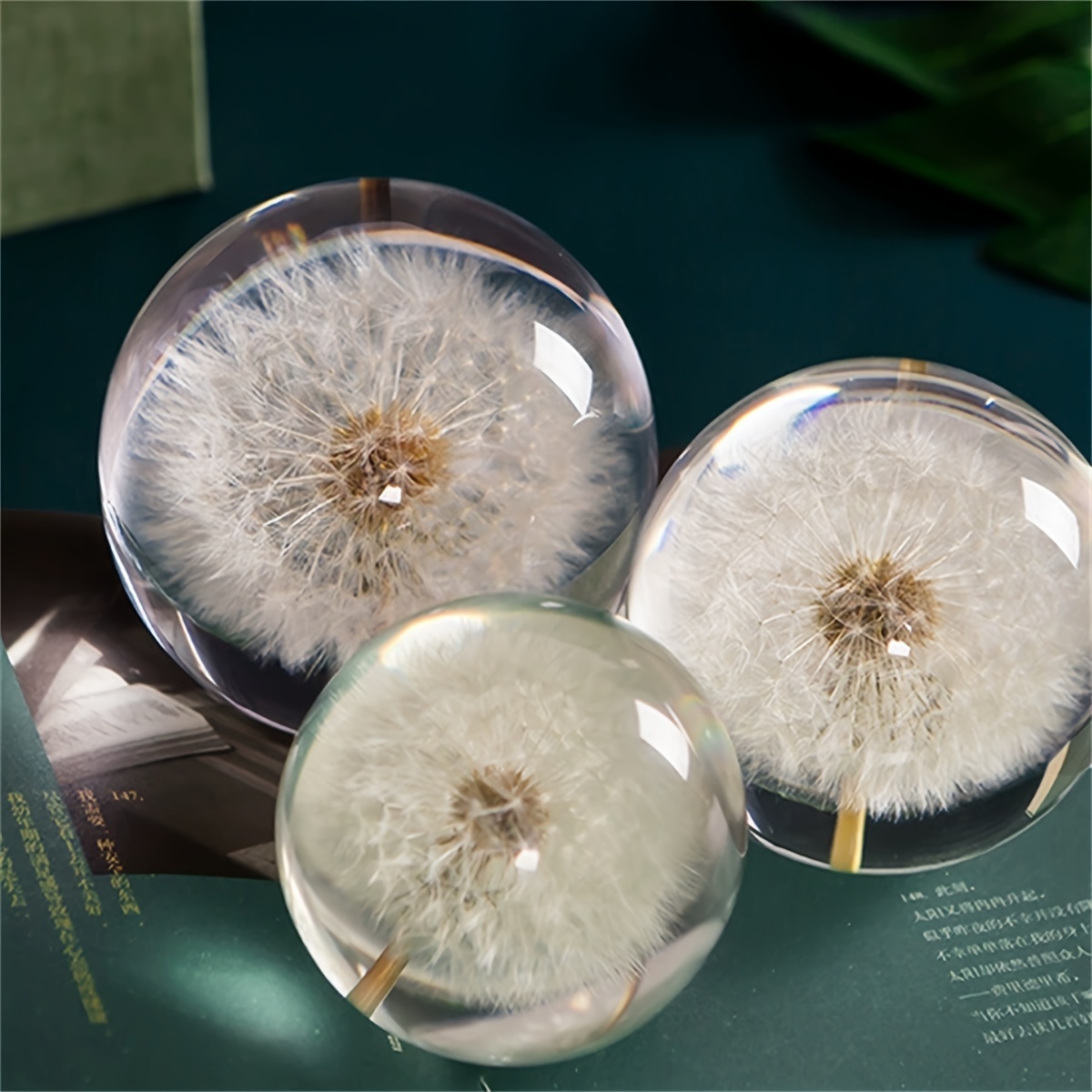 

Real Dandelion Paperweight, Dandelion Resin Ball Gift Box, 2.75 Inch (70 Mm) Home Office Desktop Decor Decor, Birthday, Wedding Gifts And Valentine's Day (this Product Does Not Come With A Base)