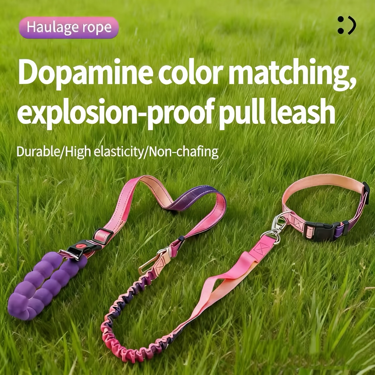 Dopamine Dog Leash, Multi-Functional with Anti-Pull Elastic Stretch