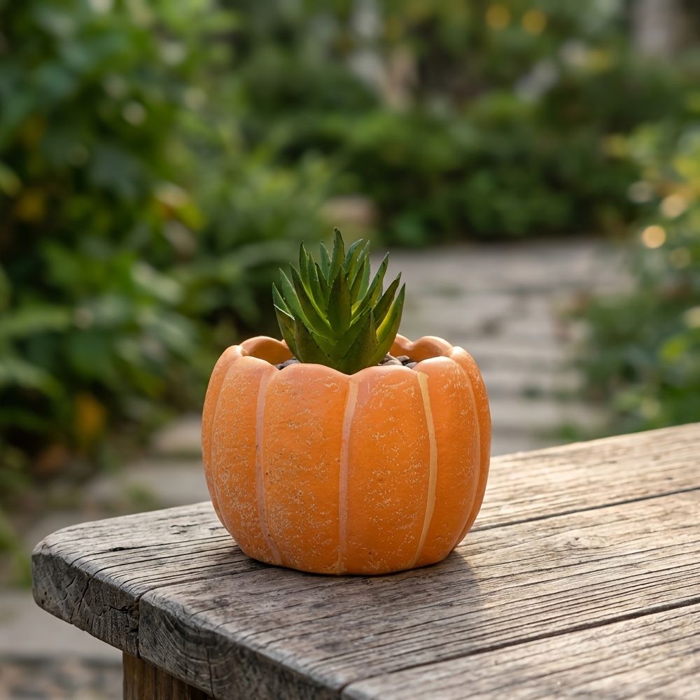 Small orange pumpkin-shaped planter holding a succulent
