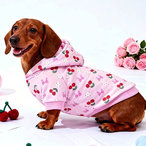 1pc mothers day floral sweet casual pet hoodie suitable for chihuahua dachshund small dogs cute clothes for cats and dogs indoor outdoor