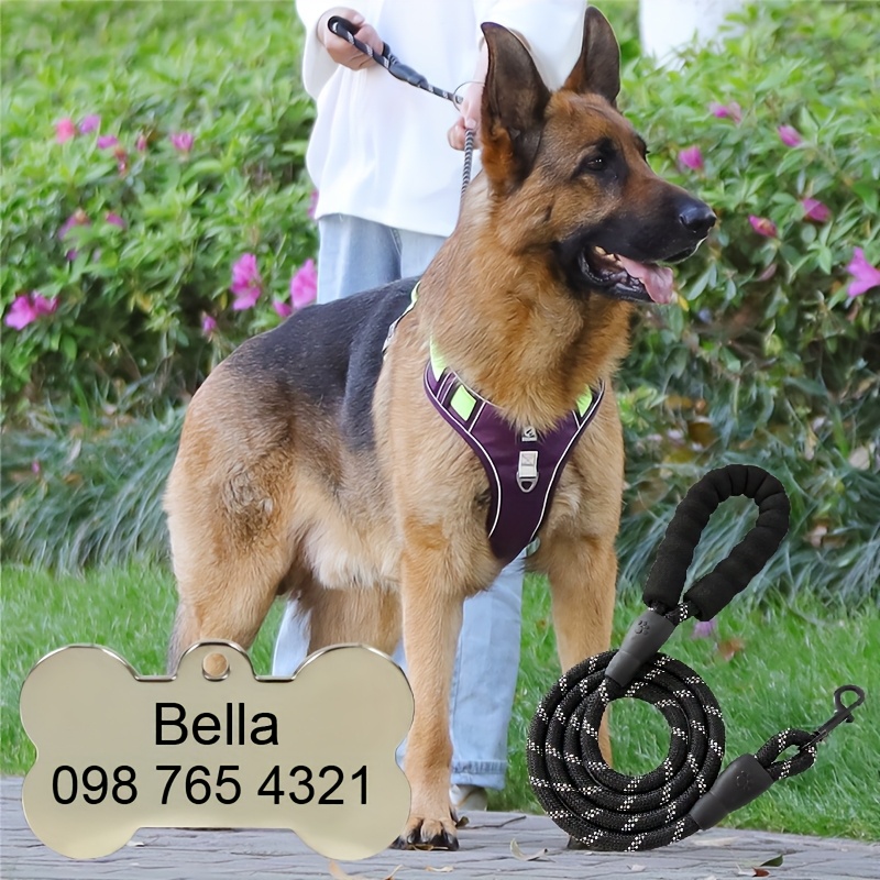 Custom Dog Harness with Engraved Pet ID Tag and Leash Set