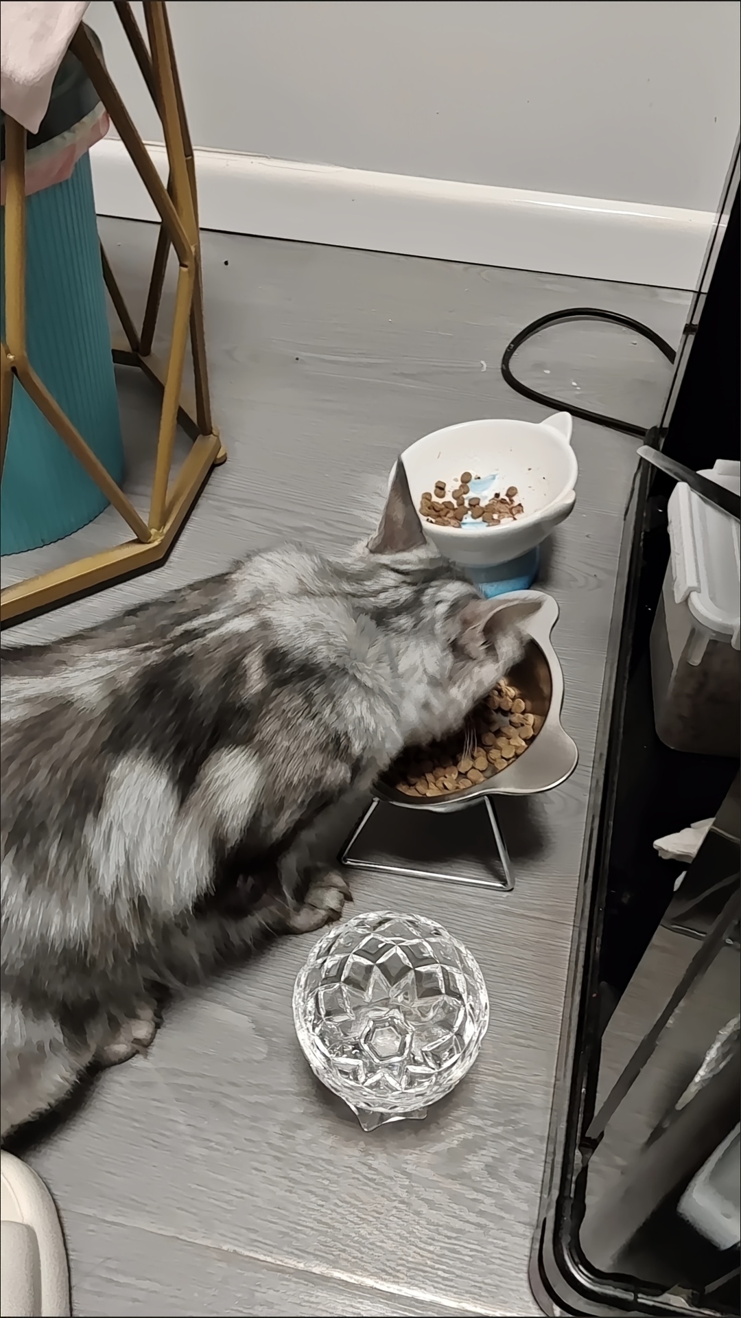 pet stainless steel neck protector slope mouth high platform bowl stainless steel bear shape dog bowl cat bowl details 2