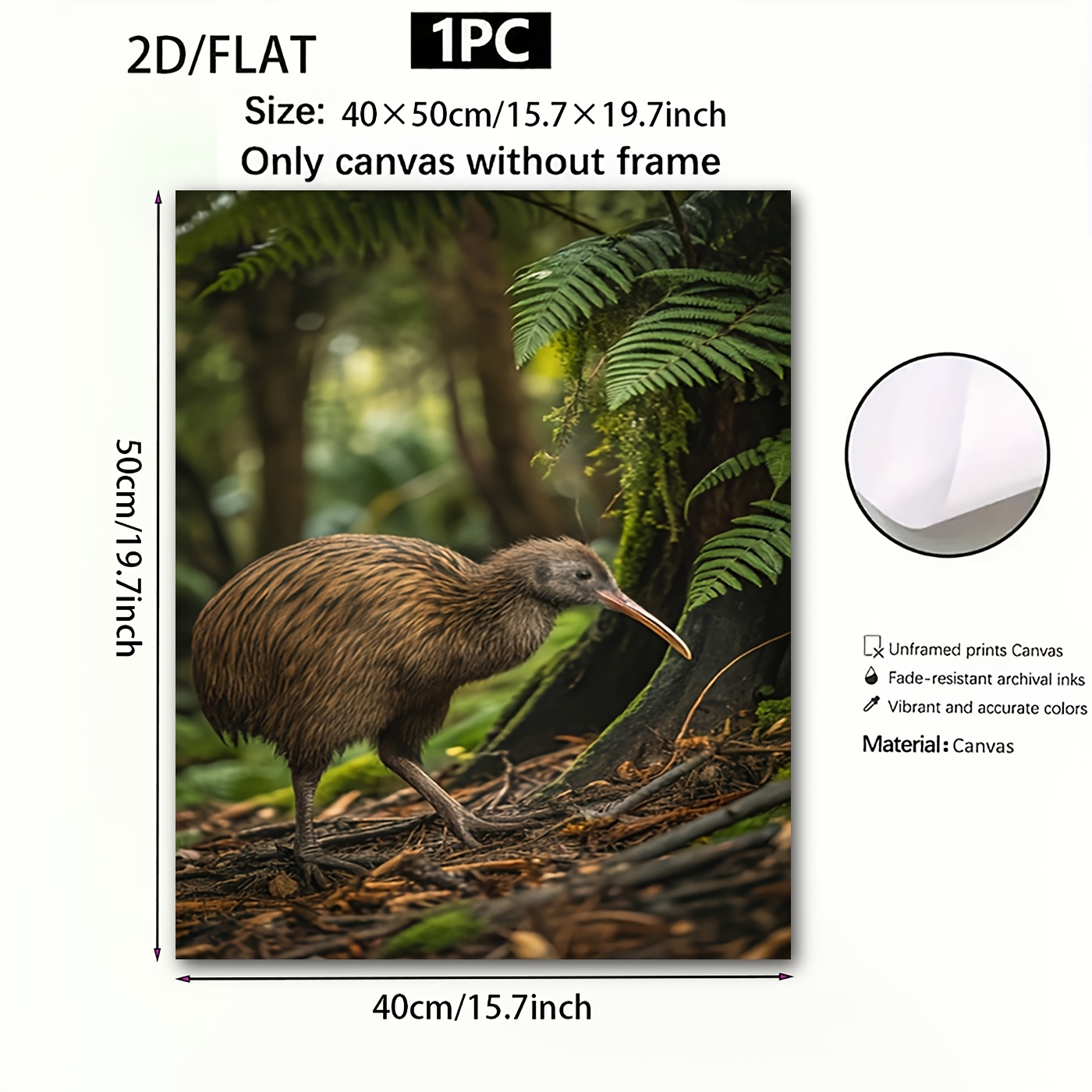 TEMU 2d Flat, 2d Flat, 1pc Frameless 2d Flat Canvas Painting, Kiwi Bird In Forest Canvas Art - Modern New Zealand Nature Wall Decor, Real, Kiwi Bird