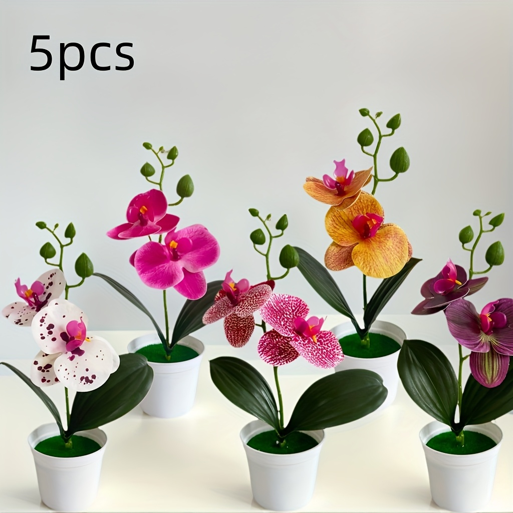 5er set bunte knstliche phalaenopsis orchideen mini - Temu Austria