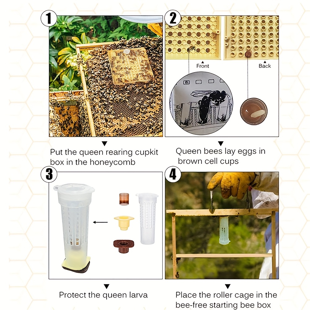 Bienenkönigin-Aufzuchtset – 100 Kunststoff-Zellenbecher, Halter & Käfige – Komplettes System Zur Königinnenzucht Ohne Umlarven – Für Imker & Bienenhaus
