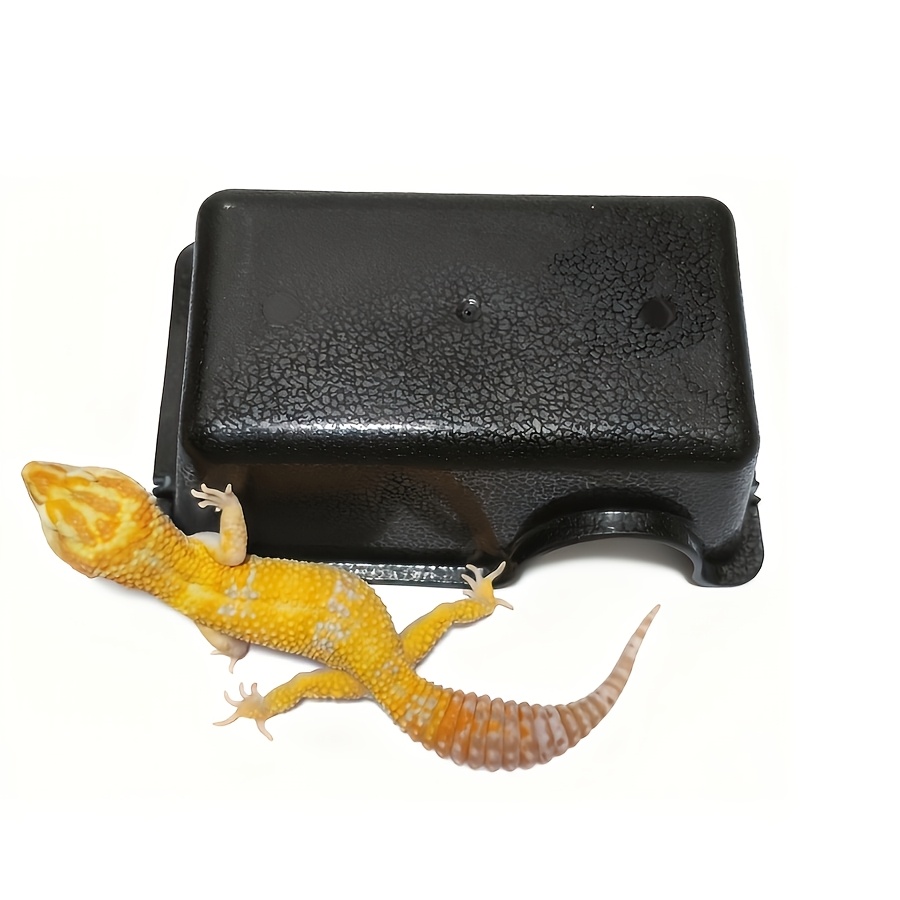reptile hide sold on Temu United States