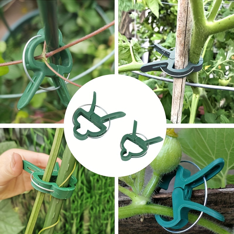 

20pcs Plastic Tomato Plant Support Clips, Garden Vine Fixing Clamp For Vegetable And Flower Vines, Gardening Tools For Plant Branches And Stems Fixation