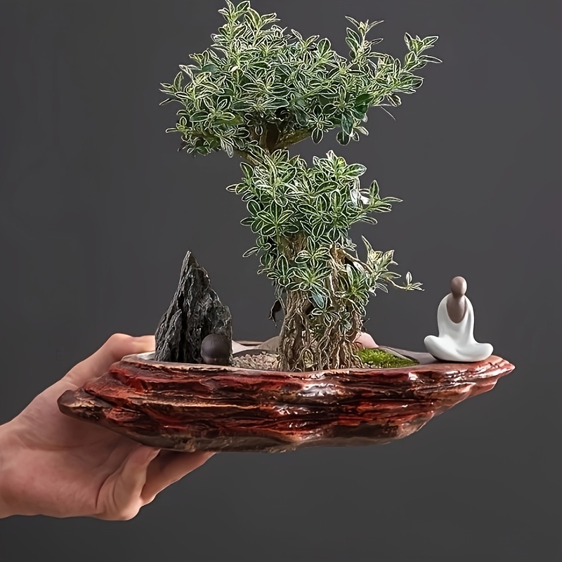 klassischer chinesischer stil keramik bonsai topf - Temu Luxembourg