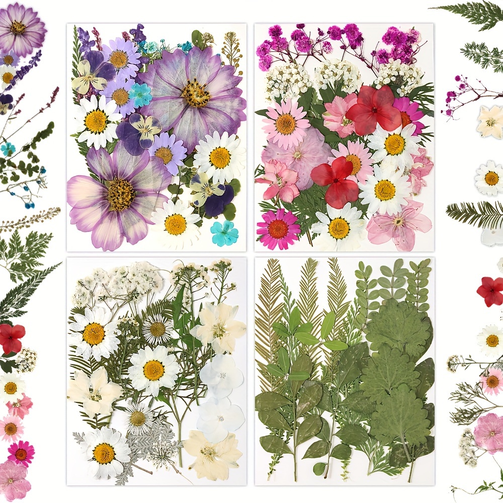 

25pcs Dried Pressed Flowers, Real Pressed Flowers For Epoxy Resin Mold, Nail Art, Scrapbook, Resin Supplies Kit For Diy, Home Decor, Jewelry Making