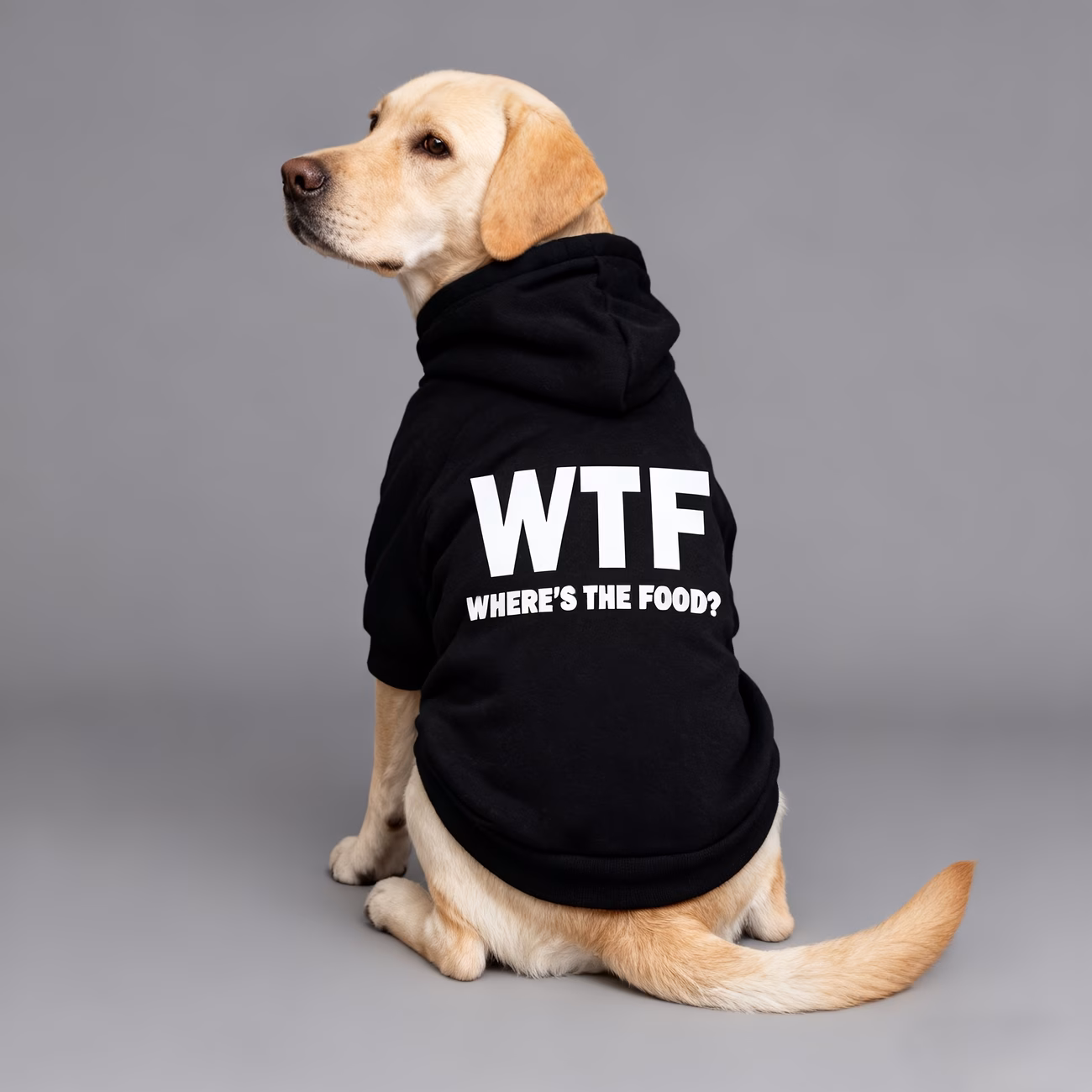 hoodie hooded sweatshirt medium to large dog wheres the instantly enhancing sense made from soft and fabric warm and breathable Product details 3
