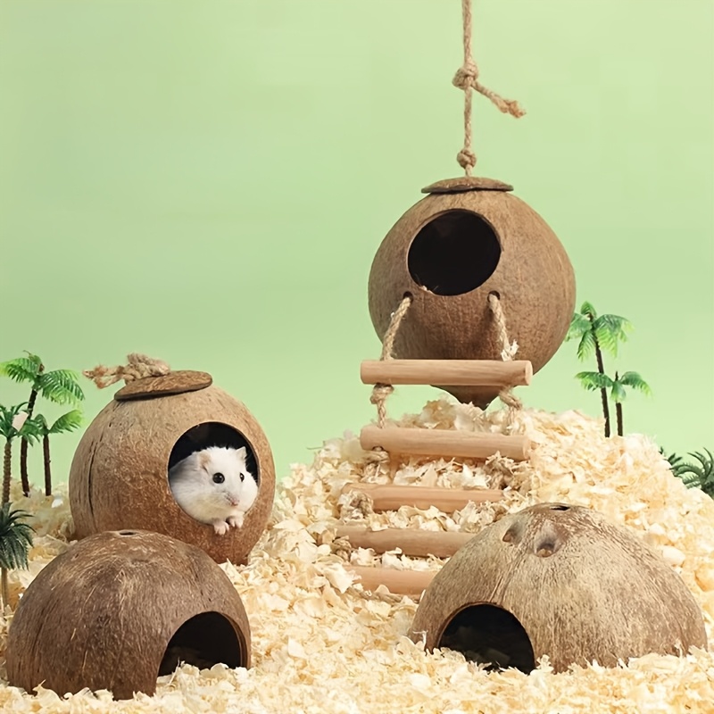 

Hamster Sleeping Nest Cooling Nest Wooden House Summer Shell Flower Branch Mouse Toy Anti-bite (natural Shell, Size And Shape Not Completely Consistent)