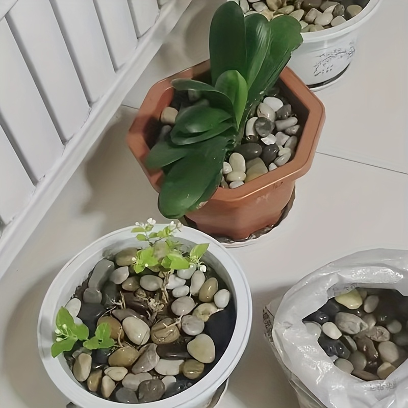 1000g/500g/300g/200g/100g Piedras de Arroyo - Guijarros y Grava Mixtos, Adecuados para Paisajismo de Acuarios, Decoración de Jardines, Relleno de Jarrones - Piedras Decorativas Multicolor para Interior/Exterior, Rocas Decorativas para Acuarios, Decoración de Interiores, Piezas Decorativas