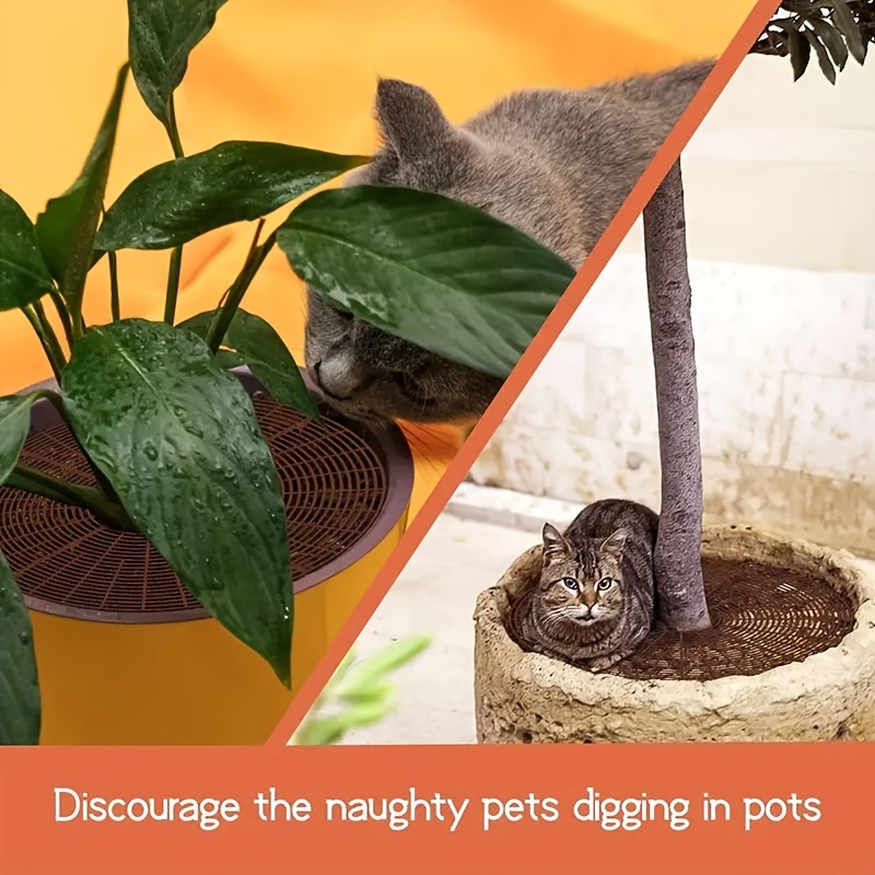 1 set plant pot protective cover cat proof pot mat child - Temu