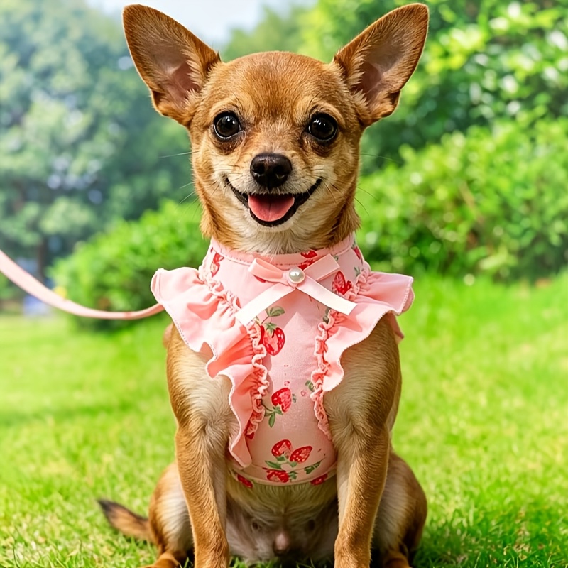 Cartoon Strawberry Print Pet Harness and Leash Set