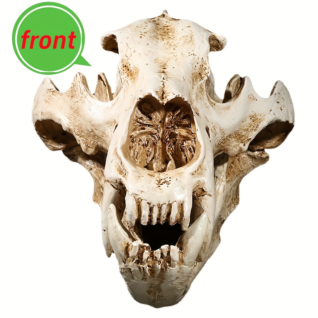 realistic resin polar bear skull model lifelike arctic - Temu Spain