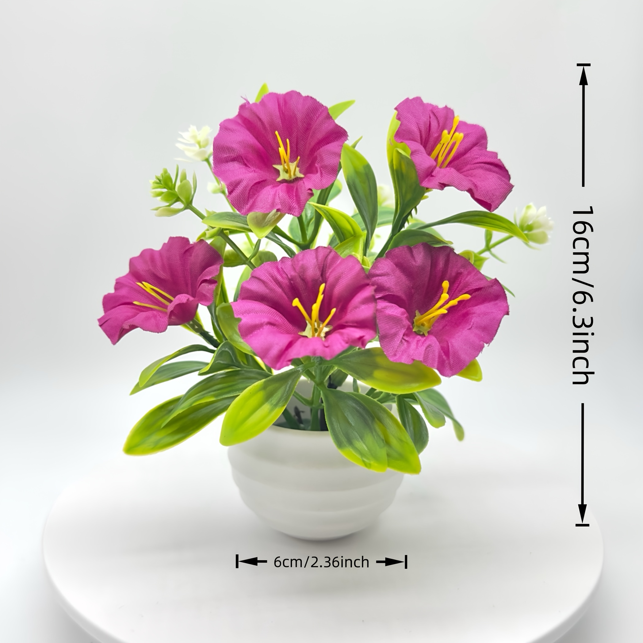 1/6 Set Morning Glory bloemen met pot