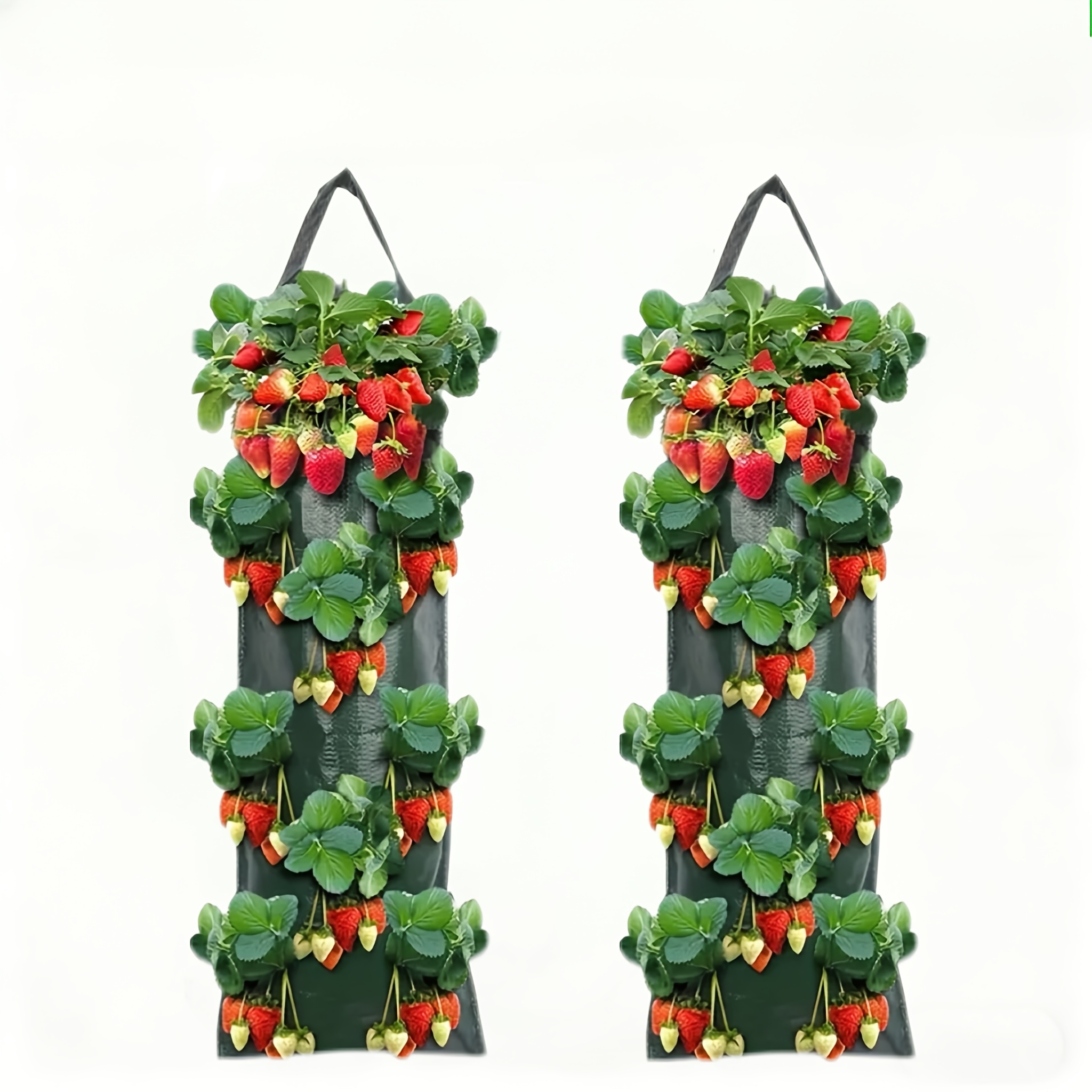 TEMU Lot de 2 sacs de muraux pour fraises, sacs de jardinière suspendus, sacs de suspendus multi-trous pour fraises pour balcon, cour, Pothos et de