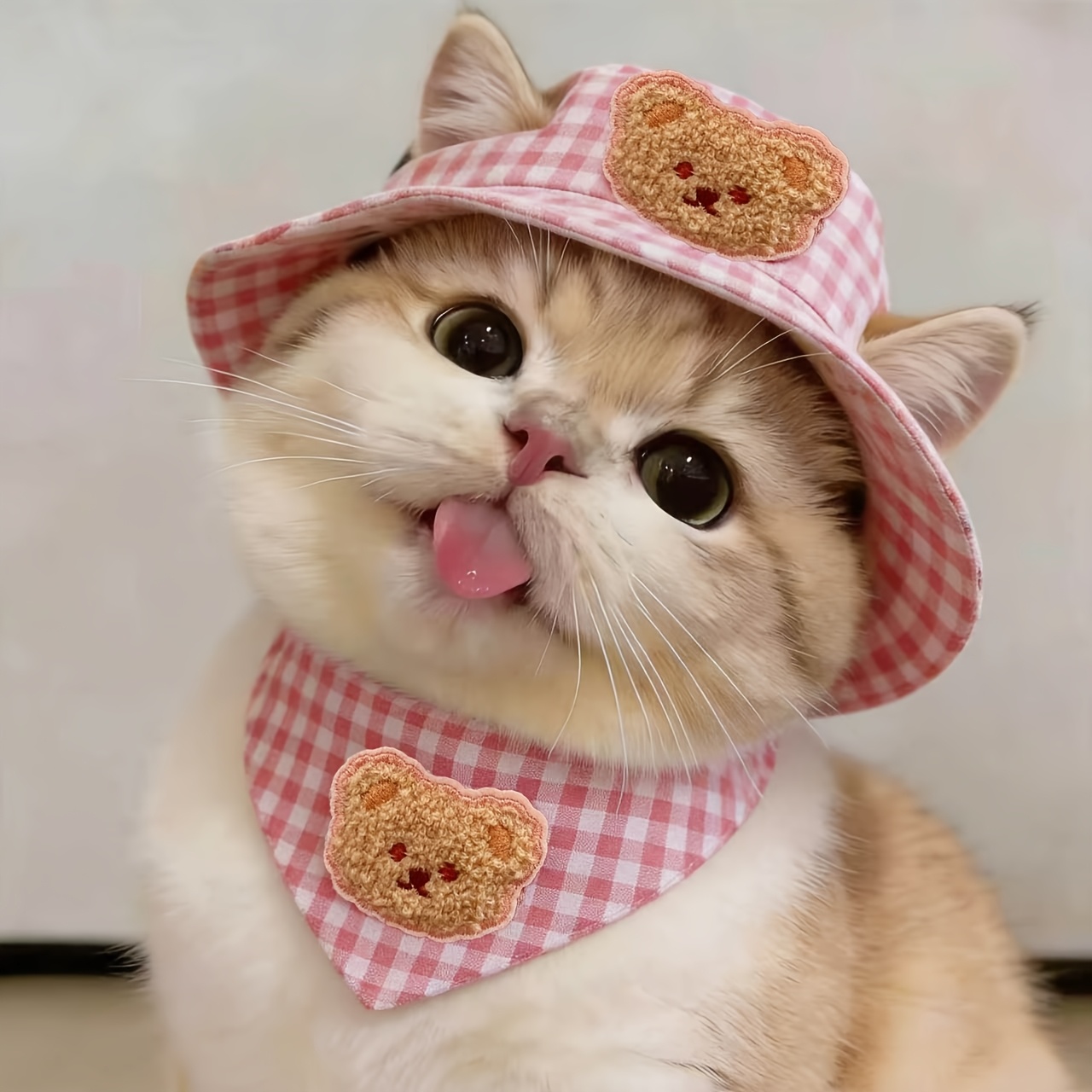 TEMU Ensemble de 2 pièces : Chapeaux et bandanas adorables pour animaux de compagnie - Parfait pour chiens et chats de 5 à 15 lb, convient pour un