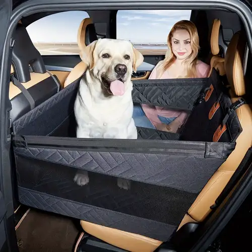Traveling With Large Dogs: Essential Tips for Stress-Free Adventures